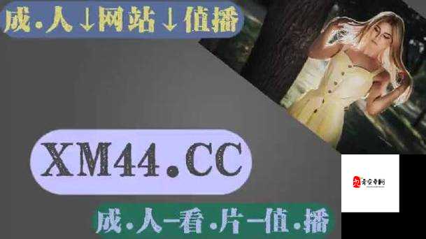 麻豆国产传媒精品视频：演绎真实情感的视觉盛宴