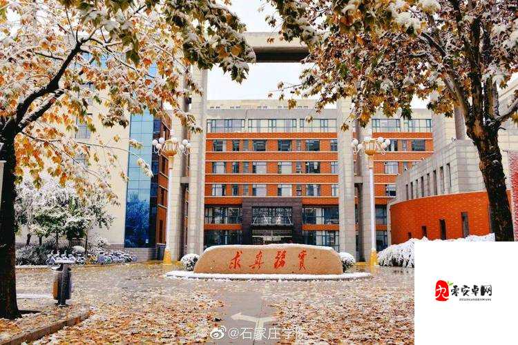 随时随地都能干的学校：一所打破时空限制的创新型学府