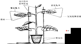 17c.c-起草的写作背景与流程-对其深入探究与全面分析