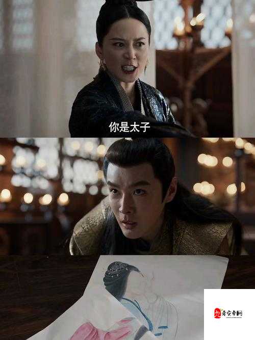 可不可以干湿你骨科太子：一场禁忌的情感纠葛