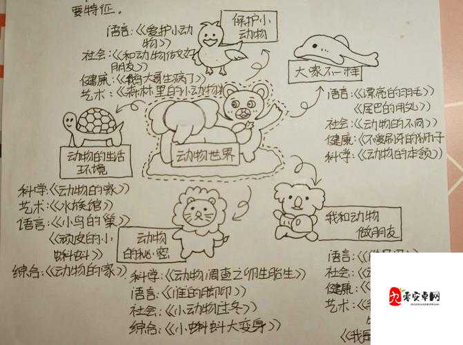 欧美动物交视频：探索别样的动物世界奥秘