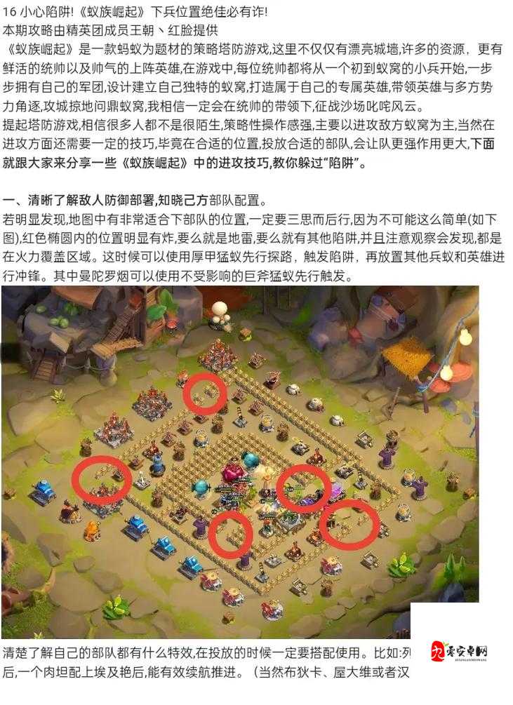 蚁族崛起，备赛阶段全攻略，助你称霸战场