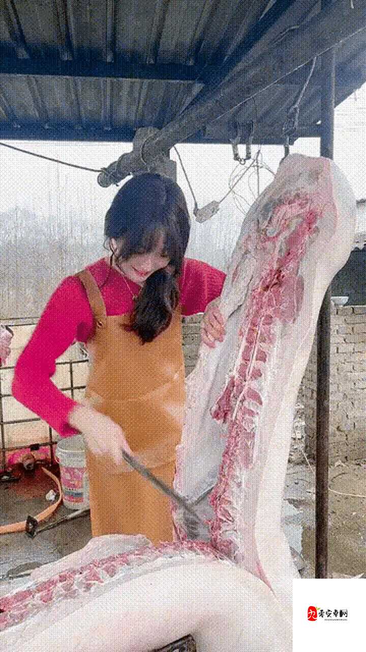 高中中生被 C 爽哭视频网站引发的热议