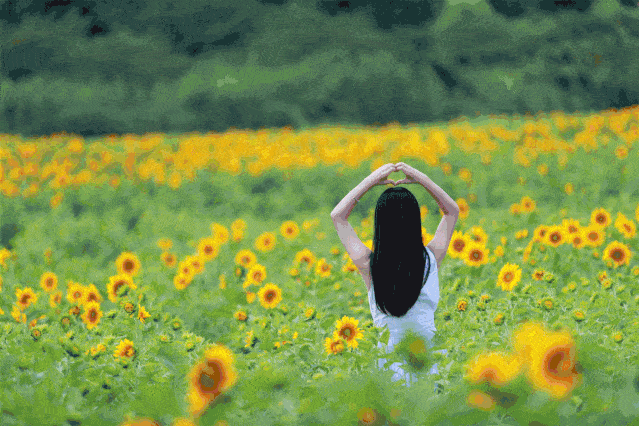 千乐啪啪动图：精彩绝伦的动态视觉盛宴呈现