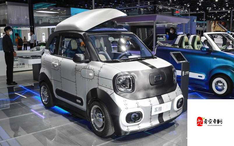 顶级稀缺小马拉小车：探寻其独特魅力与价值所在