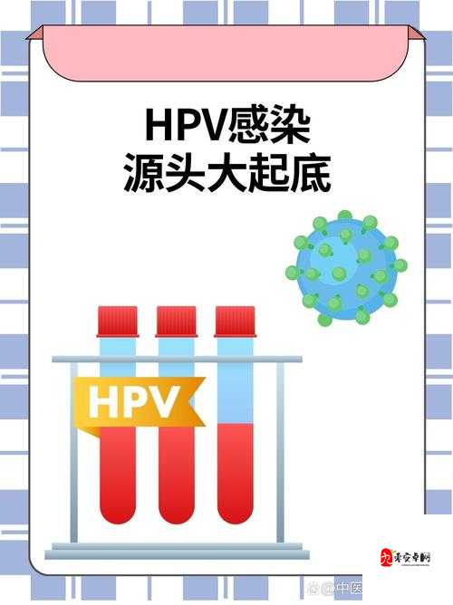 HPV 感染与性接触关系：全面解析与探讨