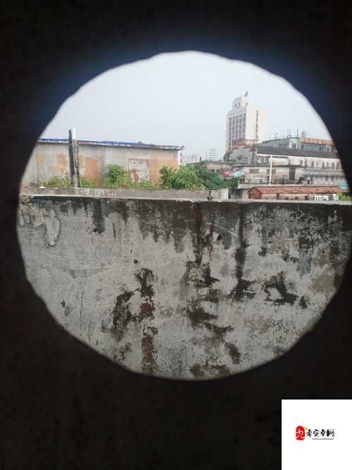 欧美厕拍：那些隐秘角落的别样风情