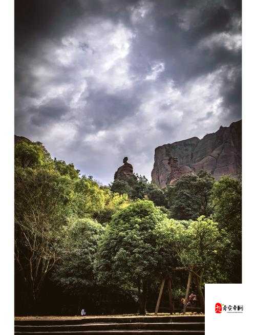 真实呦女酱网址仙踪林：探索独特魅力的神秘之地