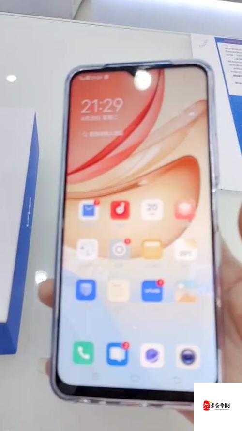 y31s 和 y31s 标准区别更新，众多海外直播间直呼：