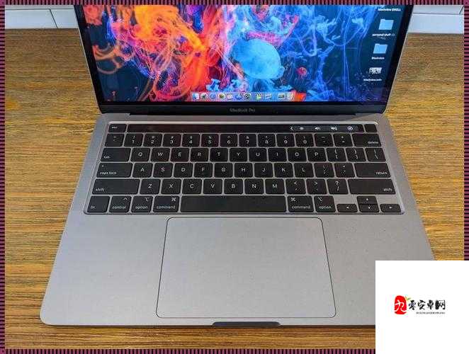 18 19macbook pro 美国的独特魅力与优势探讨