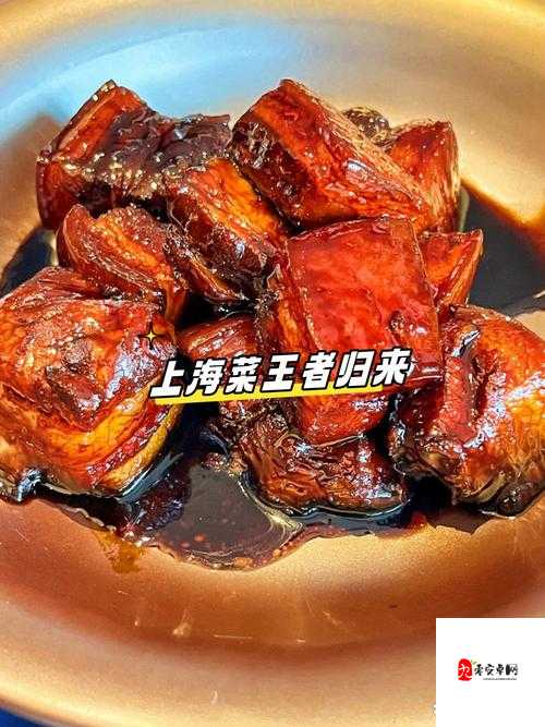 NP 乱辣盛宴：全肉激情燃烧，挑战你的视觉与味觉