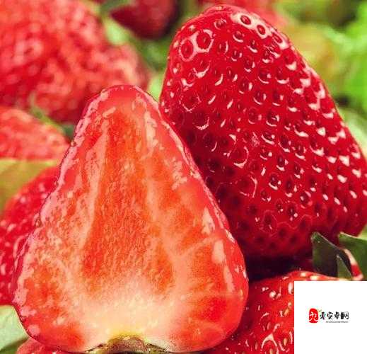 免费观看草莓：尽享视觉盛宴