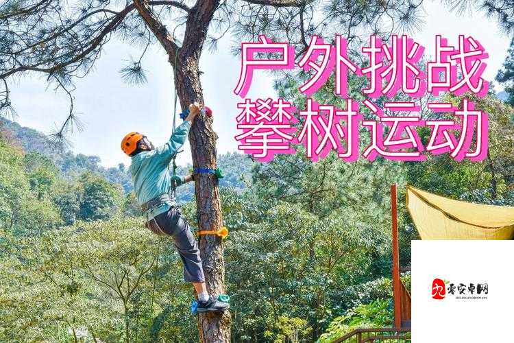 AV 户外天码中国：探索户外与别样精彩的奇妙融合