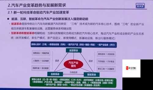 BBBB×ⅩⅩⅩ 全新解读与深度剖析