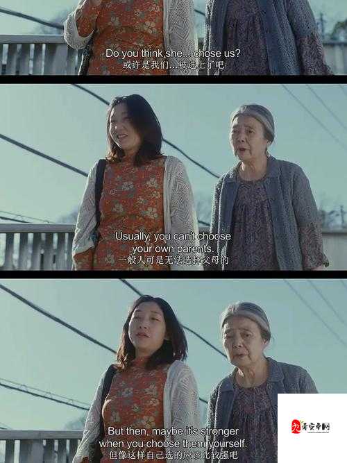 一个妈妈的女儿第二集：血缘与责任的纠葛