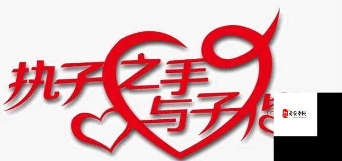 浪漫夫妻：执子之手，与子偕老