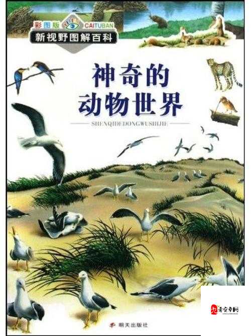 ZOOM 动物：神秘的动物世界，等您来探索