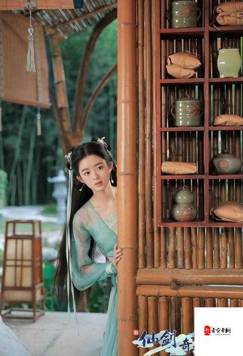 新仙剑奇侠传之挥剑问情，侍女打法全攻略