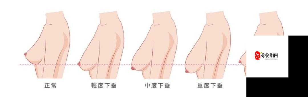 女生想把胸露出给男生看摸：这样做的风险与后果