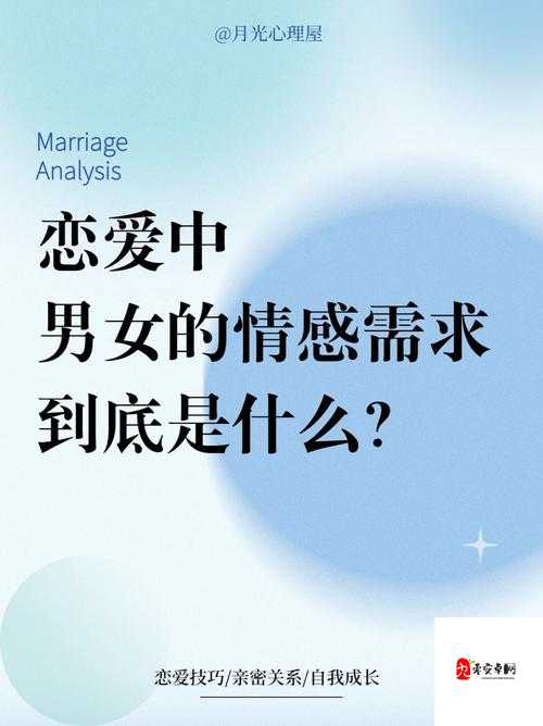 一晚上几次能喂饱你：探寻背后的情感与需求密码