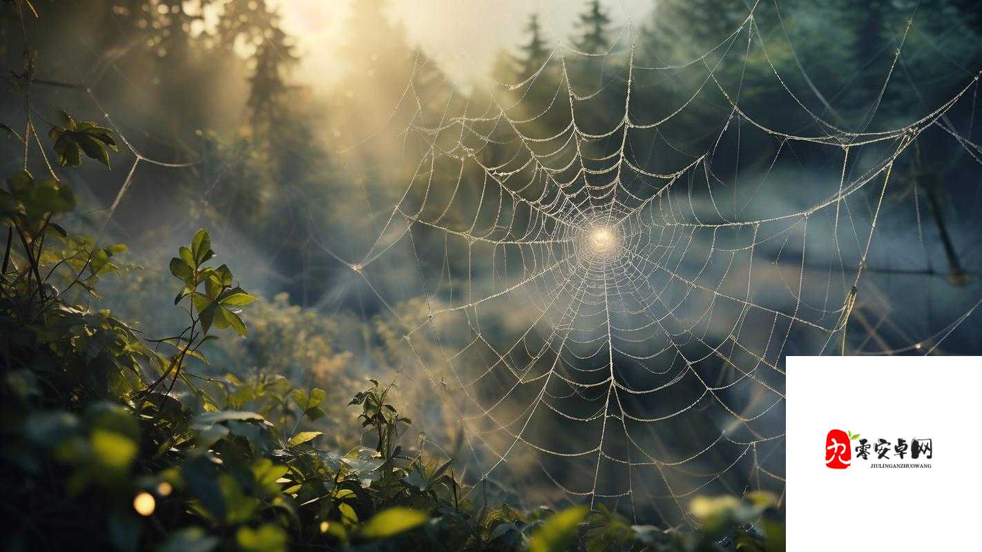 200 款禁用软件永久无限大全：探索被禁软件的神秘世界