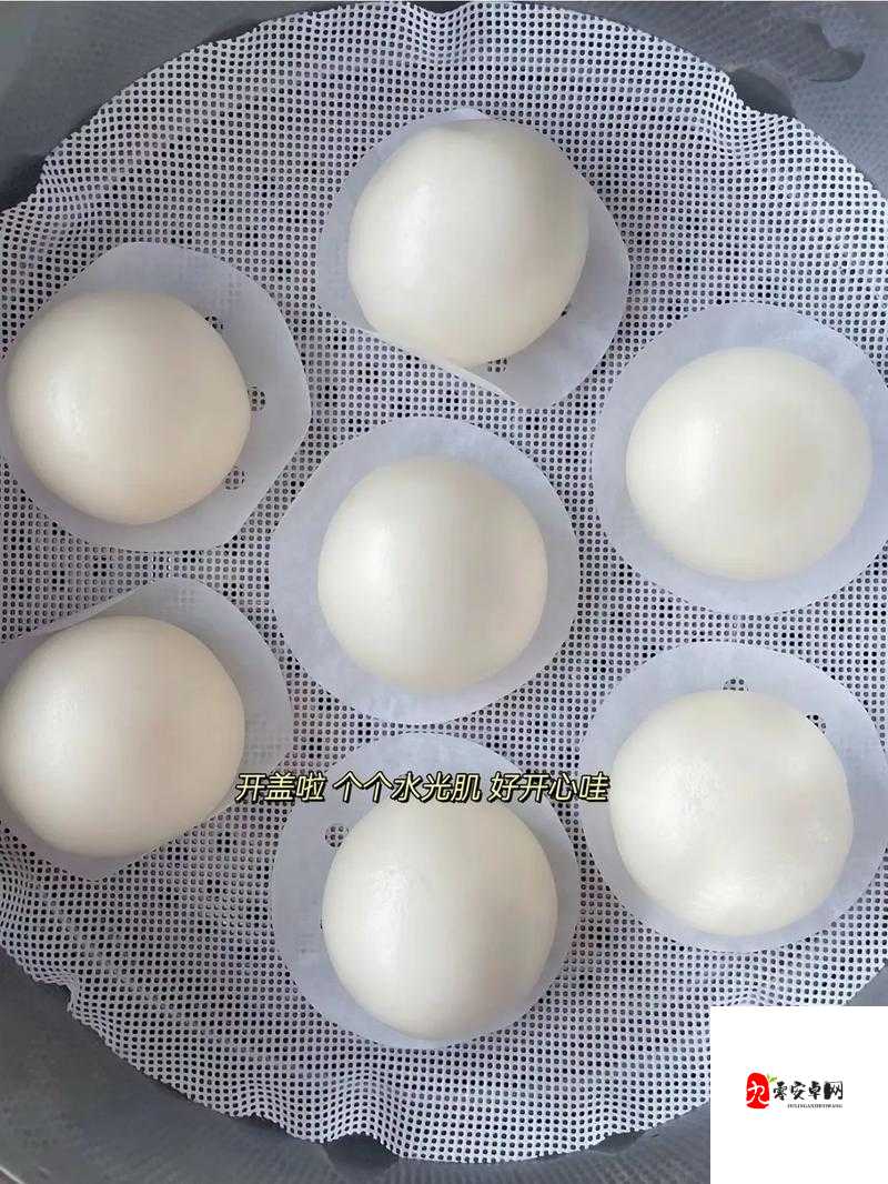 水滴型和馒头型的区别到底是什么以及它们各自的特点分析