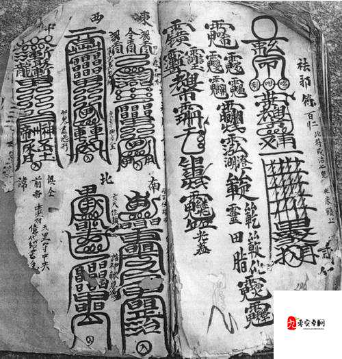 五连寻器符咒探秘，万灵山海之境寻器符咒玩法全攻略