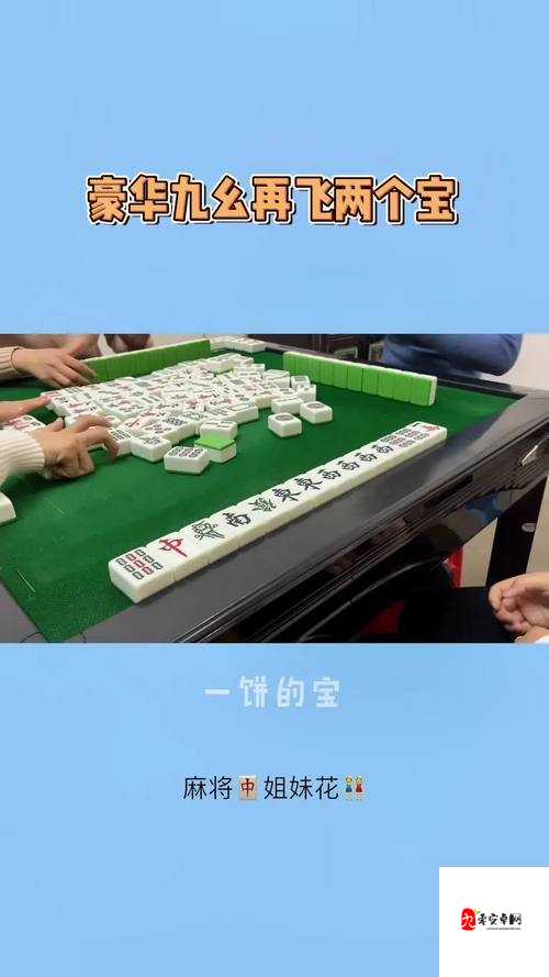 九幺黄高危风险 9：不容忽视的潜在危机探讨