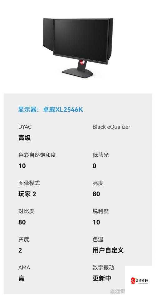 17 岁俄罗斯 csgo ：天才少年的电竞追梦之旅