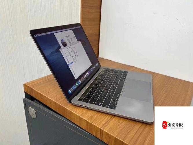 18 款 macbookpro-一款极具魅力与强大性能的笔记本电脑