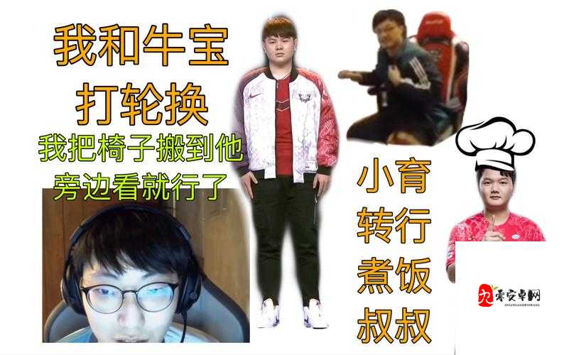 Zoom 与牛 ZOOm 的奇妙融合与探索