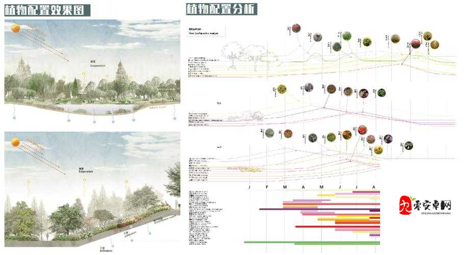 亚州码专无区2022：关于其独特性与重要意义的探讨
