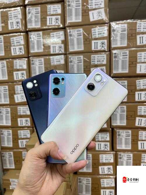 3.0.3 免费 OPPO 版破解大全：畅享无限精彩资源