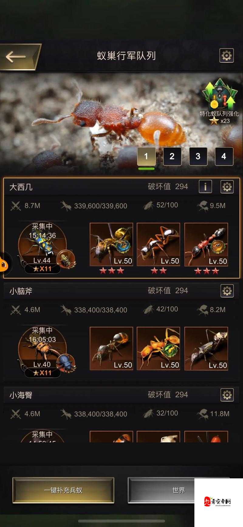 小小蚁国，解锁最强猎虫蝽的制胜之道