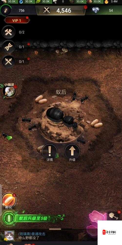 蚁巢口的守护之力，小小蚁国蚁巢口的强大功能揭秘