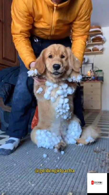 胸前两个大雪球跟着抖动令人困扰该如何应对