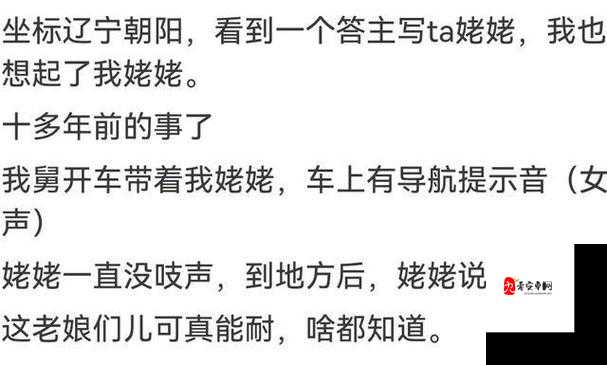 东北那旮瘩母与子写的什么：探寻背后的亲情与故事