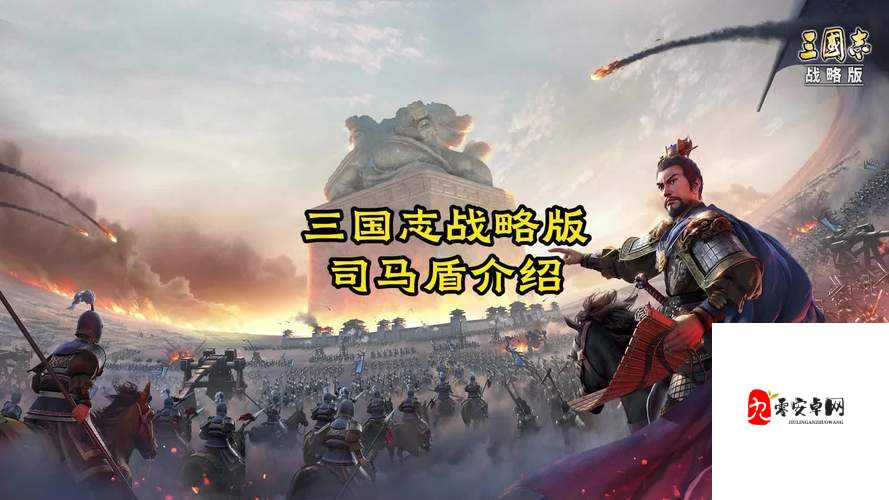 三国志战略版满宠藤甲司马盾，如何选择阵容与司马盾阵容搭配一览在资源管理中的重要性