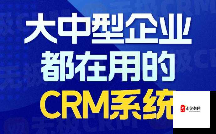 国产 CRM 系统 91-为企业管理带来全新变革的高效工具