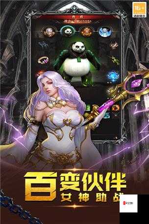 圣戒信条，阵营选择与资源管理的智慧之道