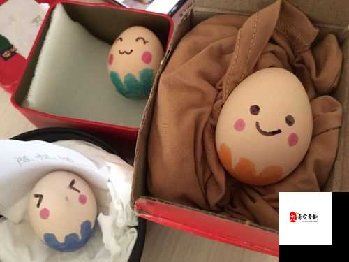 双胞胎夹心饼干三个人做的美味之旅与奇妙故事