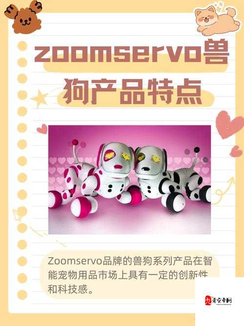 ZOOMSERVO 兽狗最新版本：超越想象的智能服务