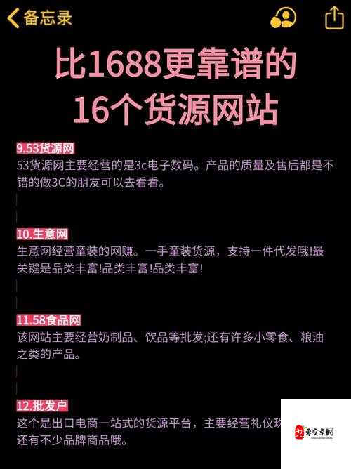 成品网站货源入口：优质货源轻松获取之道