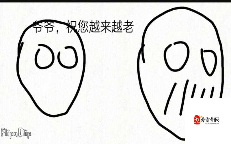 大白球上下抖动：神奇现象背后的原理及意义探讨