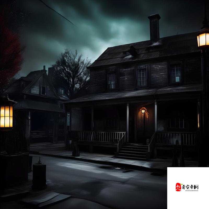 人与兽乂乂乂：探寻神秘关系背后的未知故事