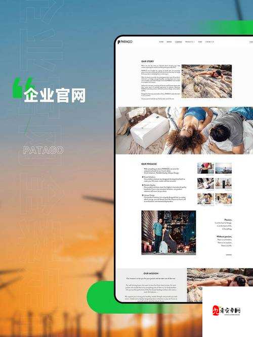 网站不良正能量直接进入相关内容的深入探讨