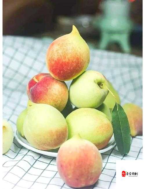 放学后特殊教育中桃子移植的奇妙探索