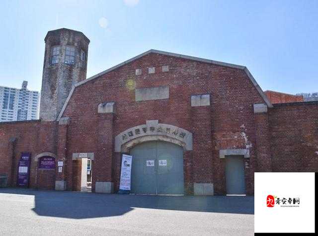 震惊中国妞老太毛耸耸的惊人秘密竟然是......