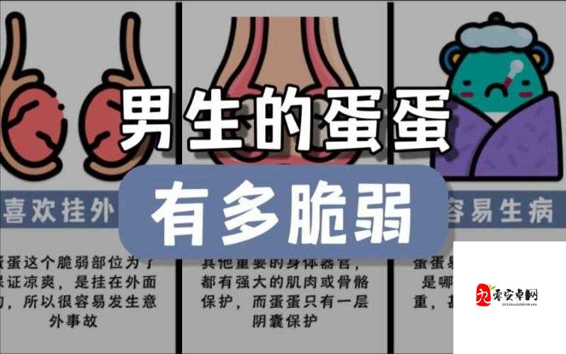 男生小蛋蛋疼时的具体表现及特征