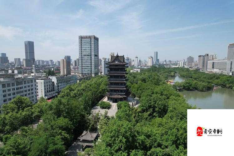 黄色网址清风阁相关内容的独特探索与发现